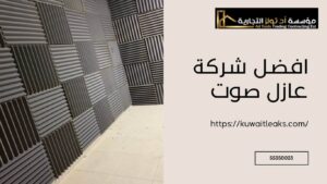 Read more about the article افضل شركة عازل صوت متكاملة 100%