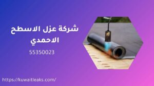 Read more about the article شركة عزل الاسطح الاحمدي
