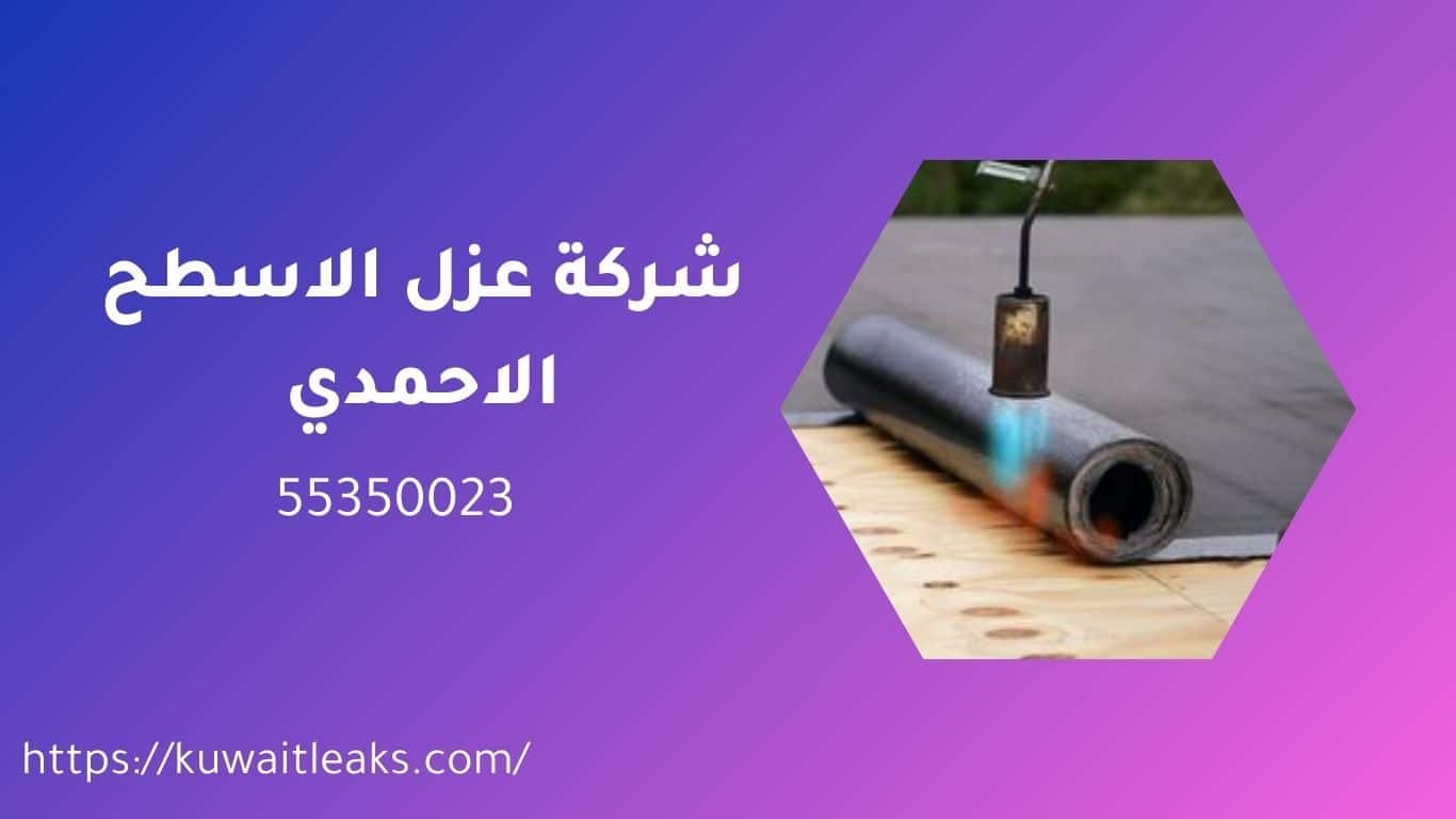 Read more about the article شركة عزل الاسطح الاحمدي