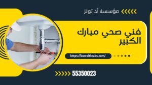 Read more about the article فني صحي مبارك الكبير